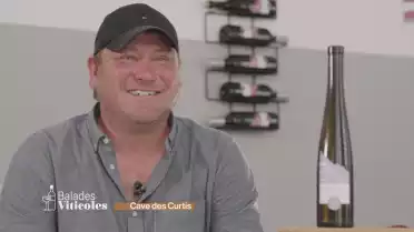 Cave des Curtis
