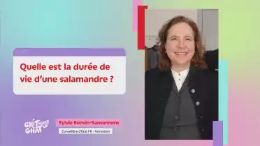 Chit chat make up du 13 février 2023