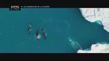 Les sorties ciné du 22 février et 1er mars 2023