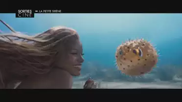 Les sorties ciné des 24 et 31 mai 2023