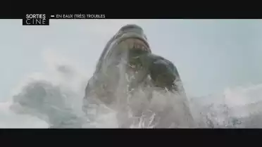 Les sorties ciné du 2 août 2023