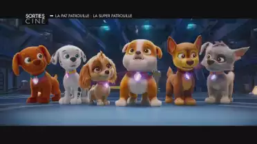 Les sorties ciné du 11 octobre 2023