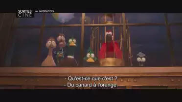 Les sorties ciné 6 décembre
