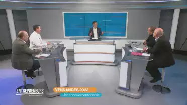 Les vendanges