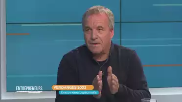 Vendanges 2023