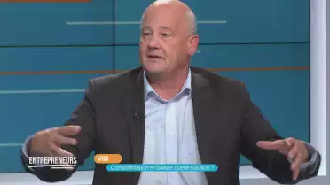 Vin