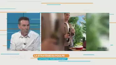 La stratégie du Poulpe