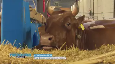 Faut-il encore manger de la viande?