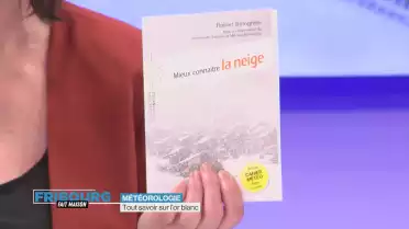 Tout savoir sur l&#039;or blanc