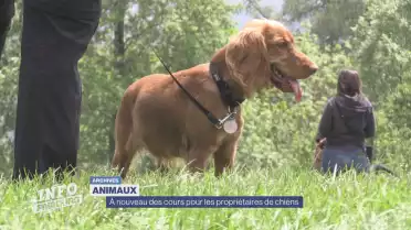 Nouveaux cours théoriques pour la détention de chiens