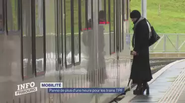 Panne de plus d&#039;une heure pour les trains TPF