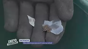 Des débris qui peuvent nuire au bétail