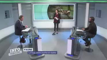 Un pétition contre le loup
