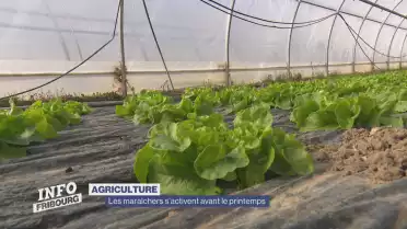 Les maraîchers s&#039;activent avant le printemps