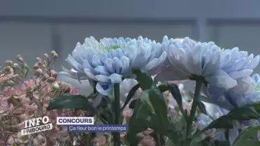 Ça fleure bon le printemps
