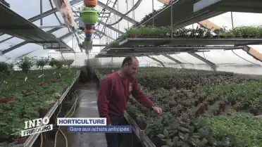 Eviter les achats hors-saison en garden center