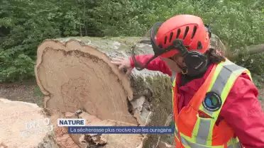 La sécheresse plus nocive que les ouragans