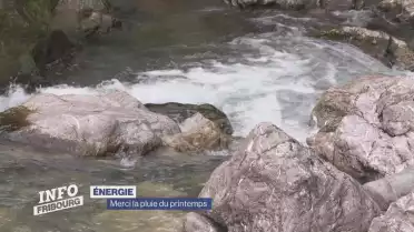 Merci la pluie du printemps