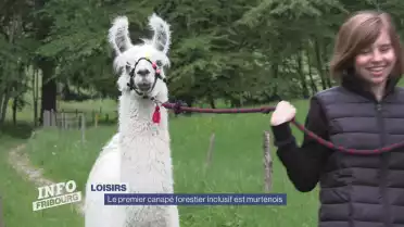 Le premier canapé forestier inclusif est murtenois