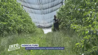 Un crowdfunding pour reprendre une ferme
