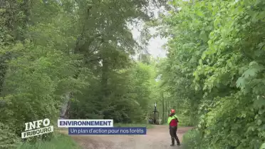 Un plan d&#039;action pour nos forêts