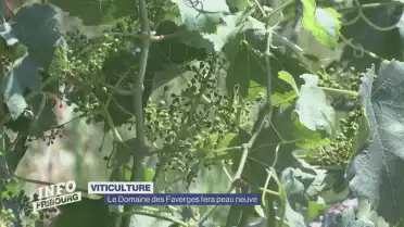 Le Domaine des Faverges fera peau neuve