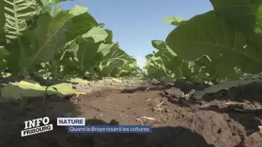 Au fil de la Broye