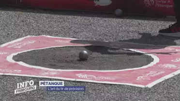 L&#039;art du tir de précision