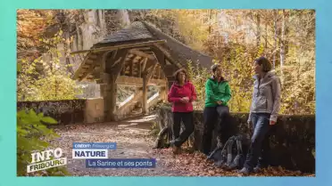 La Sarine et ses ponts