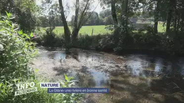 La Glâne: une rivière en bonne santé
