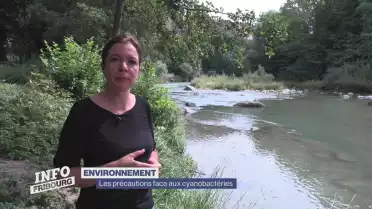 Les précautions face aux cyanobactéries