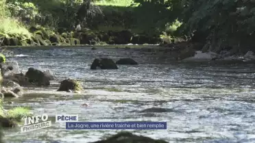 La Jogne, une rivière fraîche et bien remplie