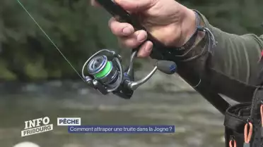 Comment attraper une truite dans la Jogne ?