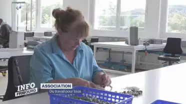 Journal du 8 août 2023