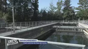 Clair comme de l&#039;eau de roche