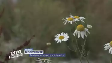 Améliorer la nature de notre canton