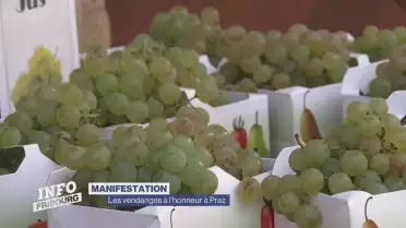 Les vendanges à l&#039;honneur à Praz