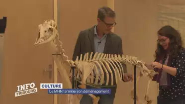 Le Musée d&#039;histoire naturelle termine son déménagement