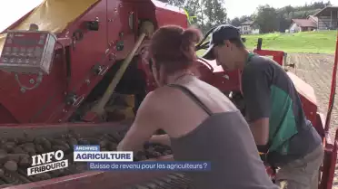 Baisse de revenu pour les agriculteurs ?