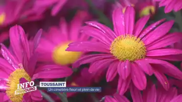 Un cimetière fleuri et plein de vie