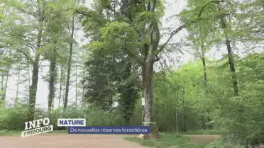 De nouvelles réserves forestières