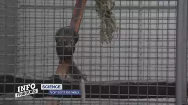 Journal du 21 novembre 2023