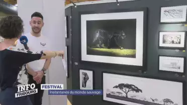 Un festival pour la photo animalière