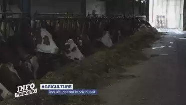 Journal du 1er décembre 2023