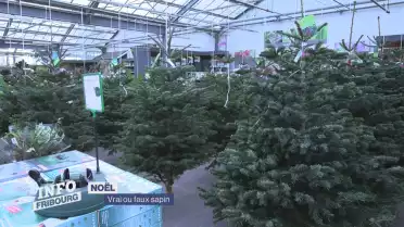 Vrai ou faux sapin