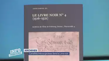 Le livre noir n° 4: un registre de cour criminelle