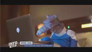 Les coups de cœur de la rédaction