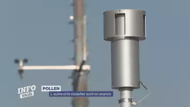Les pollens ont de l&#039;avance