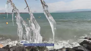 La bise a décoiffé le canton de Vaud