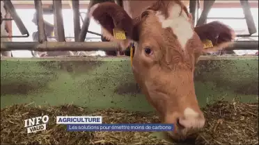 Quelles solutions pour émettre moins de carbone ?